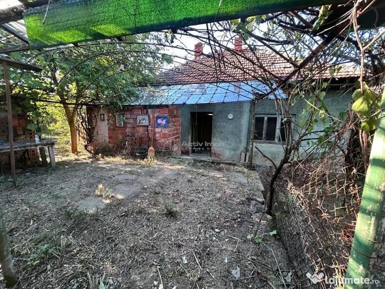 Bocsa Romana, 2 Corpuri de cladire cu Teren de 555 mp. si ga - 6