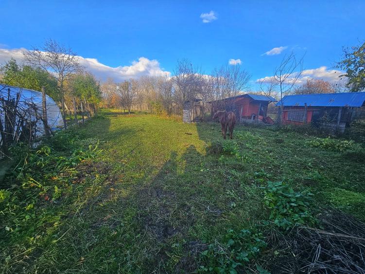 Exclusivitate! Casă cu teren generos în Sat Olteni, Com.Teișani - 15