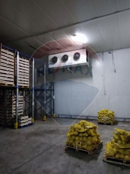 Depozit frigorific  hala ideal legume, fructe, flori - 8