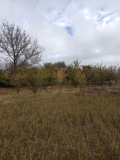 Teren intravilan Jugureni - Prahova - 7