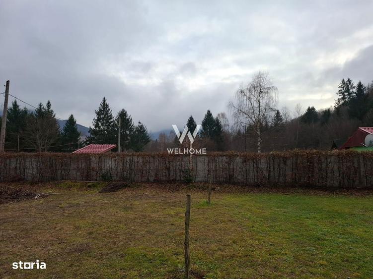Teren deosebit pozitionat, cu livada, langa padure, pe Valea Avrigulu - 9