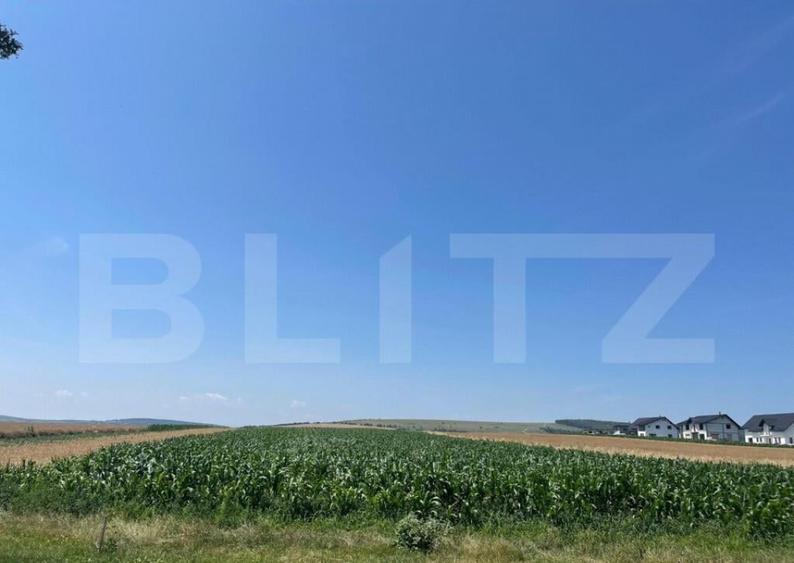 Teren Intravilan, 10300 mp, zona Mitocului - 2