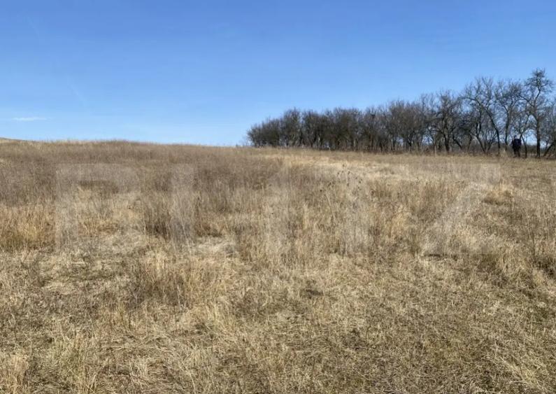 Teren extravilan in suprafata de 140551 mp in loc. Recea - 3