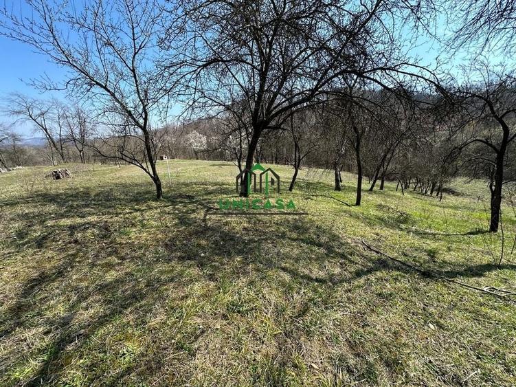 Teren Govora / 8131mp - 2