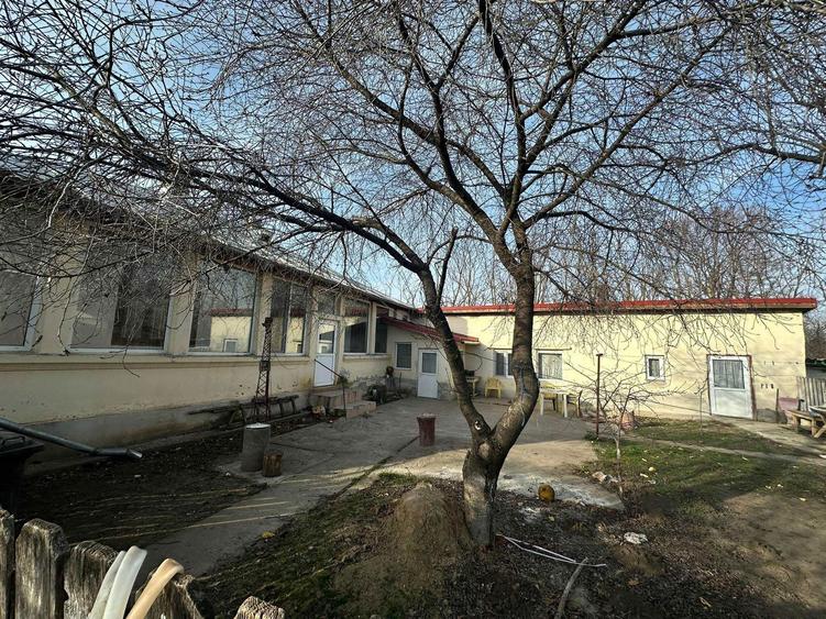 Casa cu teren, comuna Dragos Voda, judetul Calarasi. - 5