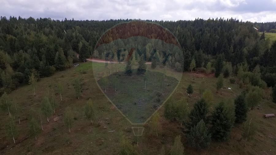 Teren extravilan parcelabil Călățele Pădure, zona Dealu Negru - 14