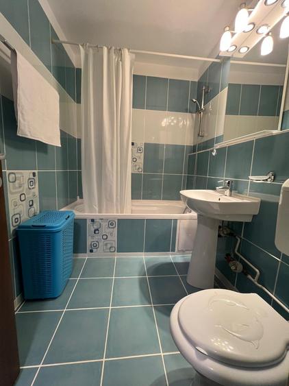 Baba Novac-Brancusi, parc IOR, etaj 1, deosebit - 2