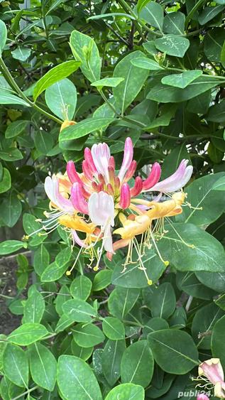 Casa de vanzare, in Slobozia, cartierul Peri - 2