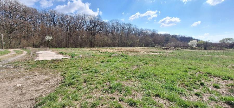 Teren duplex Dumbravita- Padurea Verde - 1