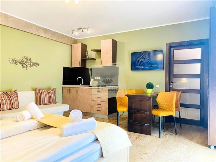 Studio de lux 40 mp cu balcon in zona Centrala - 2