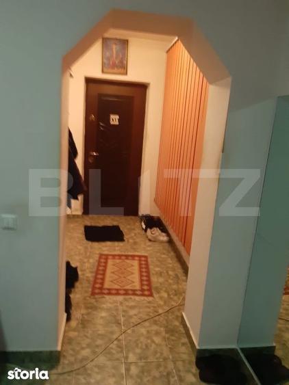 De vanzare casa 99 mp, teren 7,5 ari in Lazuri, Satu Mare - 12