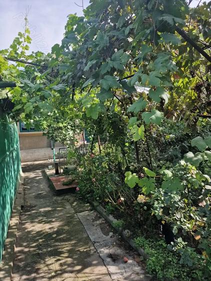 Casa de vanzare cu teren generos 910 mp Tulcea, zona Big 23 August - 5