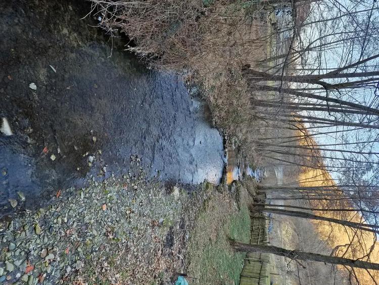 Vand casa in zona de munte, com. Podeni, jud. Mehedin?i. - 5