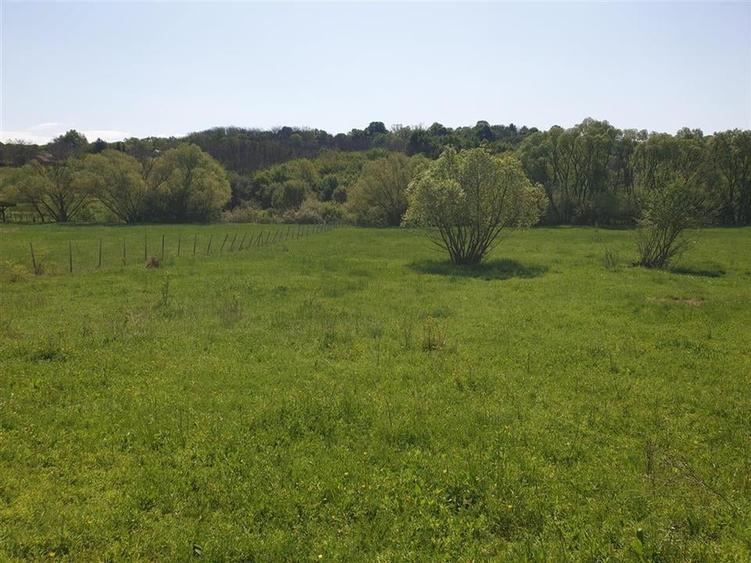 Teren intravilan cu parau si padure in Uileacu de Munte - 1