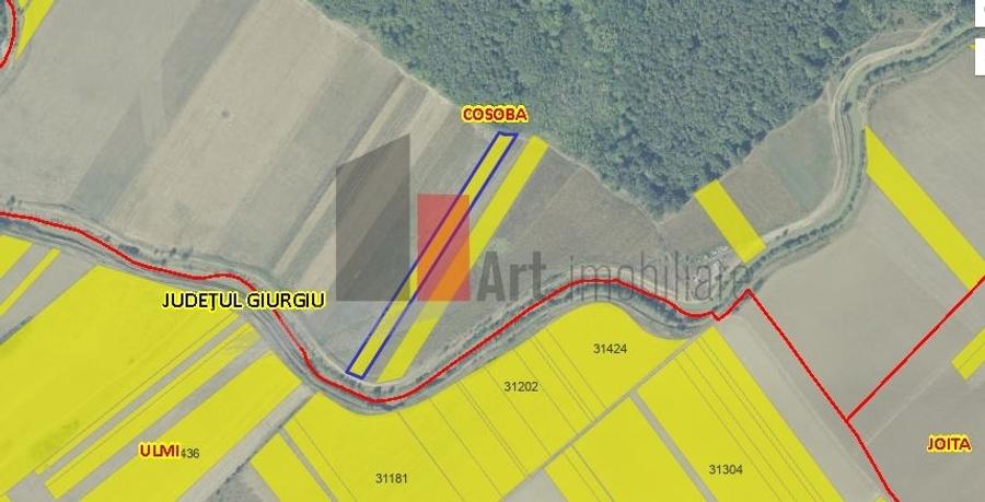 Giurgiu Teren Intravilan Padure Joita - 2