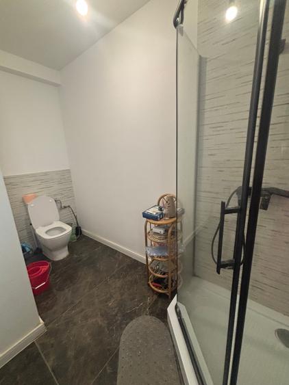 Vand vila de lux Mosnita 330000 euro - 8