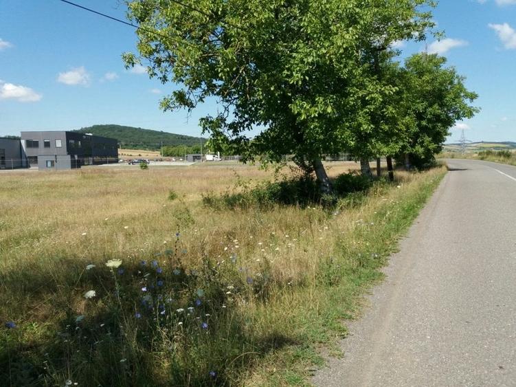 Teren pentru constructie fabrica , 4 ha -215000 euro - 1