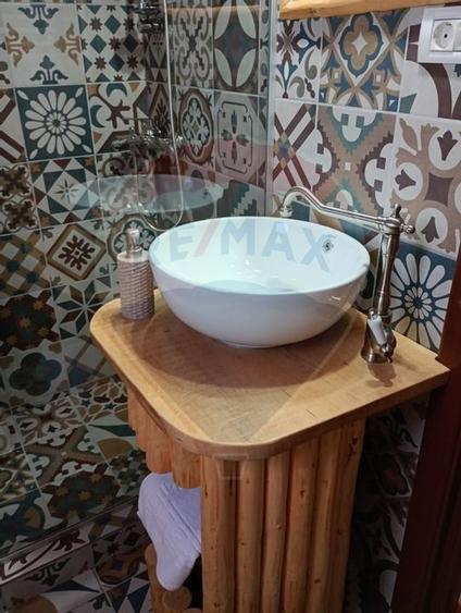 Proprietate cu Potential Triplu..LOCUINTA,INVESTITIE,TURISM!! - 25