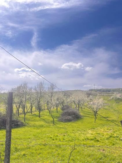 Teren Bunesti Intravilan vanzare - 4