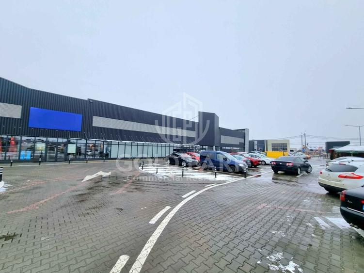 Spatiu Comercial in Centru Comercial - Zona Traian Vuia - Parcare - 21