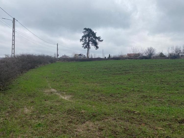 Comision 0%! Panorama superba, intravilan, 7631mp, front stradal 87m - 2