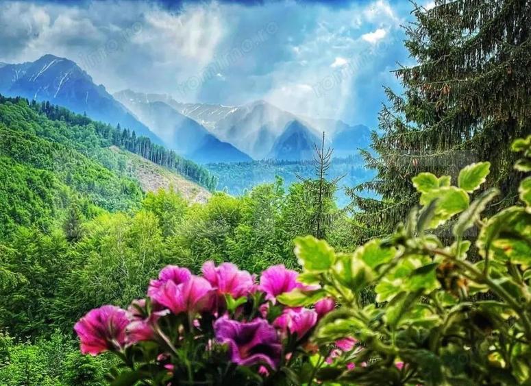 Complex turistic eco-integrat Predeal (Trei Brazi) - 5