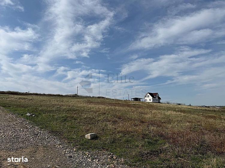 Teren intravilan 700 mp de vanzare in Paleu - 6