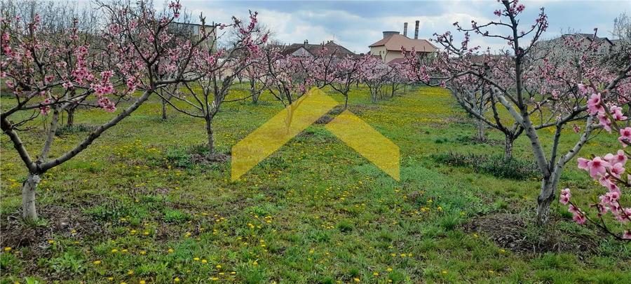 Casa de vanzare zona Gradiste - 4