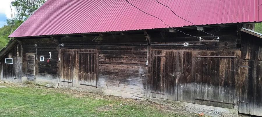 Casa ?araneasca de vanzare, Avram Iancu, Alba - 5