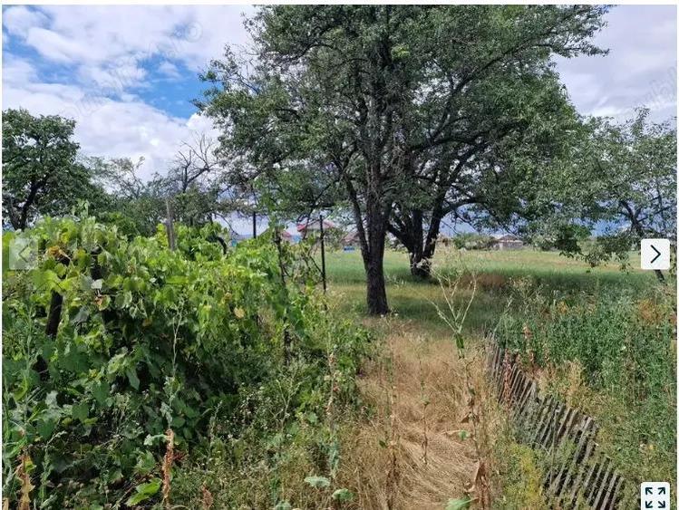 Casa cu teren orasul Roznov judetul Neamt 1550 mp - 3