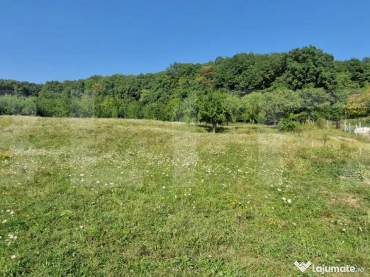 Teren de vanzare, 1Ha in apropiere de cartierul RAAL - 3