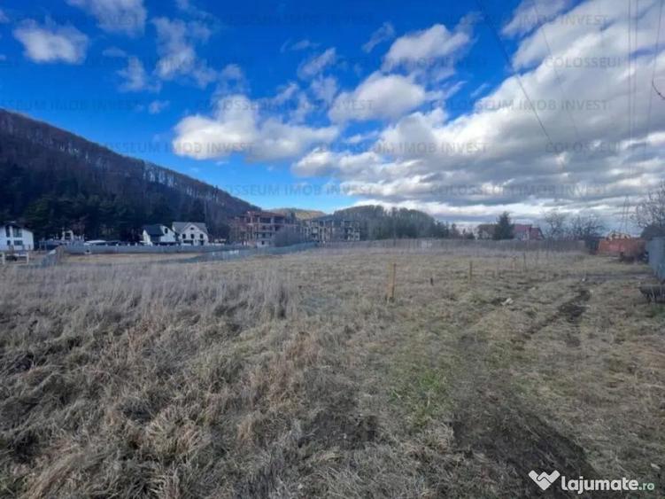 Teren intravilan, cu certificat de urbanism - Bunloc/Sacele - 5