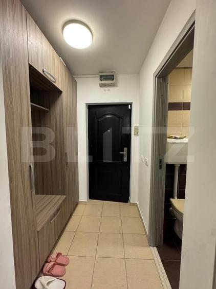 Apartament de vanzare, cu o camere, Centru Civic - 6