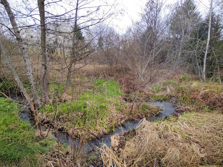 Teren Superb la Munte, Drăguș (BV) – Țara Făgărașului, zonă turistică, cu pârău - 15