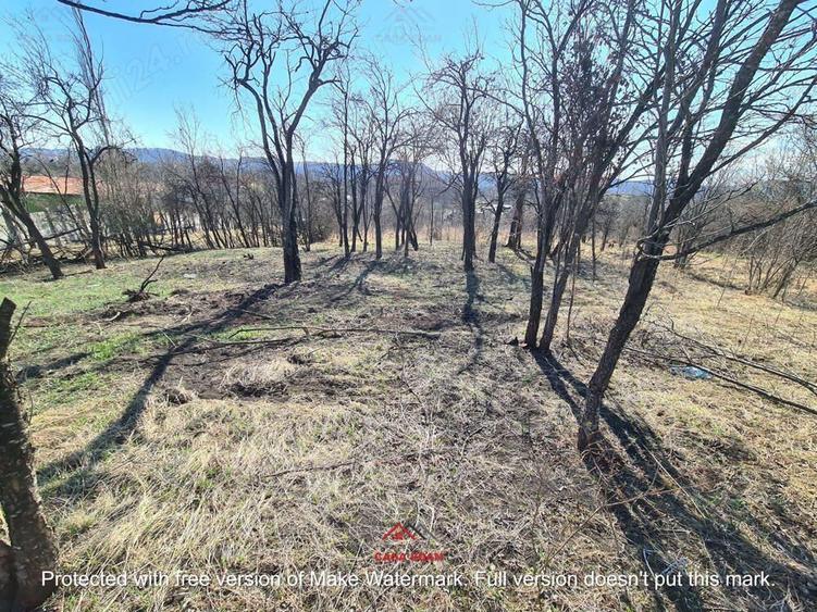 Teren intravilan in Cornu de Jos--4391 mp--43e - 5