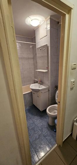 Garsoniera pet friendly Constantin Brancoveanu - 8