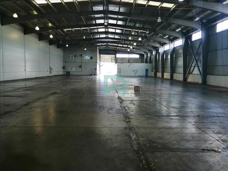 Vanzare hala industriala Brasov, Parc Industrial Prejmer - 29