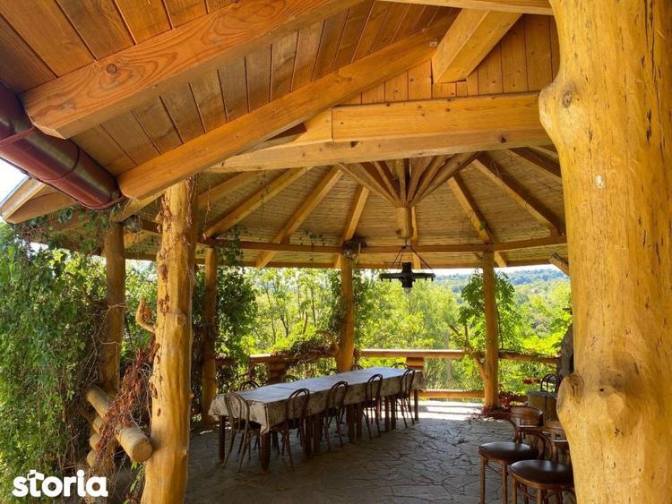 Domeniu exclusivist 17.000 mp | Vila luxury cu piscina & SPA Carbu - 8