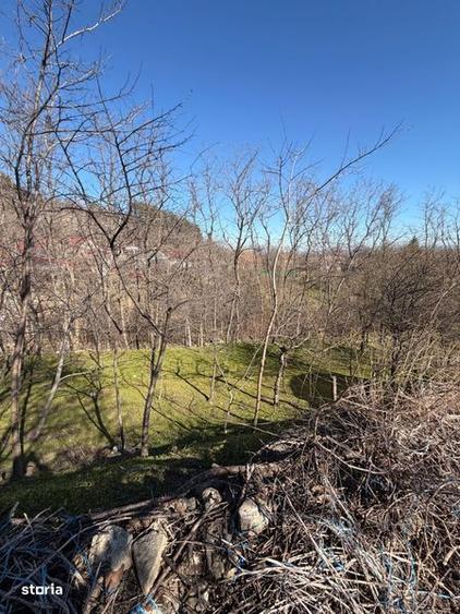 Vand casa plus teren Pietroasele - 7