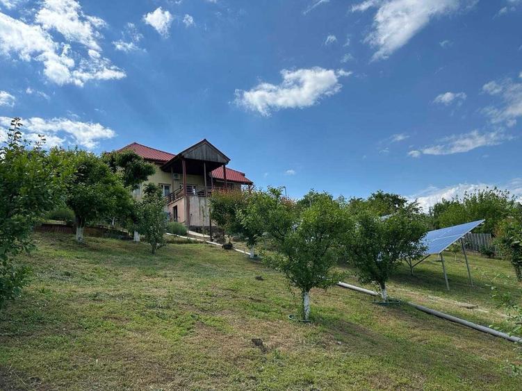 Casa cu iesire la lac | 2.453 mp teren | Panouri fotovoltaice 9 kW, sat Naipu judet Giurgiu - 6