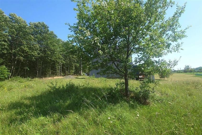 Teren intravilan de vanzare  in Luncoiu de Jos, sat Luncoiu de Sus, 3000 mp - 6