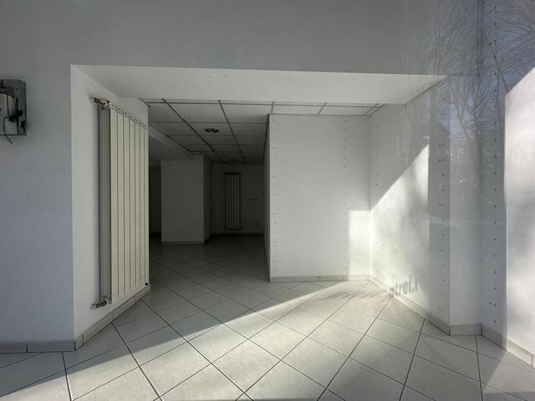 Zona Dimitrie Cantemir-Budapeste Sp153 mp P+Supanta - 7