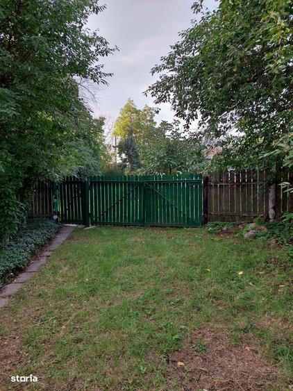 Teren intravilan 8.759 mp cu casa + vie | Utilitati complete - 4