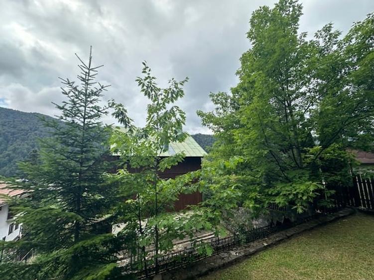 Azuga - Strada Garbovei - 6