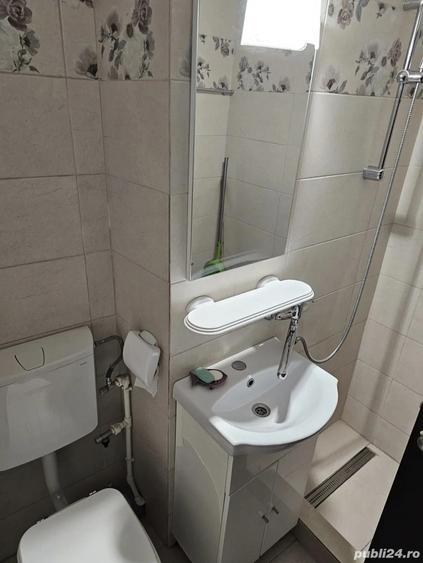 Spa?iu cu Vad, Cire?ica - 4