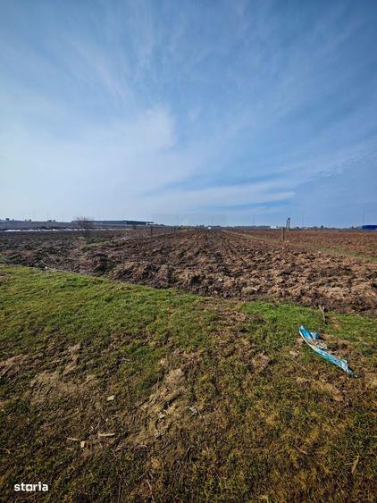 Teren de Vanzare Industrial Caciulati A3 - 7