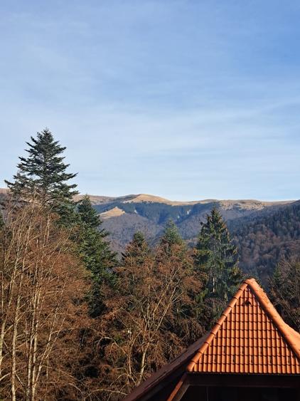 Apartament de 2 camere, 70 mp, în inima zonei Furnica – Sinaia | Terasă | Ideal - 1