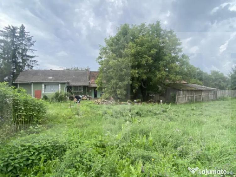 Casa tradi?ionala cu teren generos Belin - 4