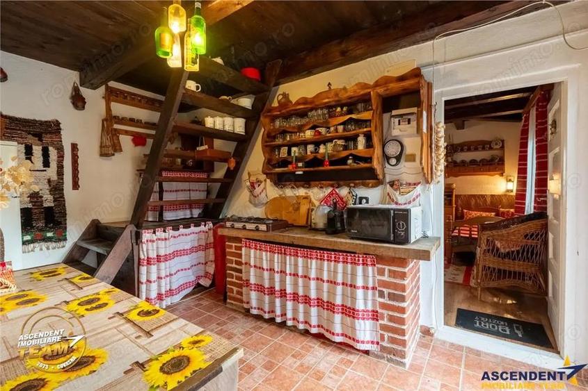 Proprietate cu 2 case in Reci:zona pitoreasca, aer curat,aproape de lac si Mestecanis - 15