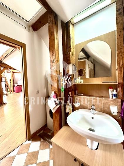 Vanzare mansarda 3 camere - str Serg.Maj.Ancuta Ilie - zona Parcul Carol - 11